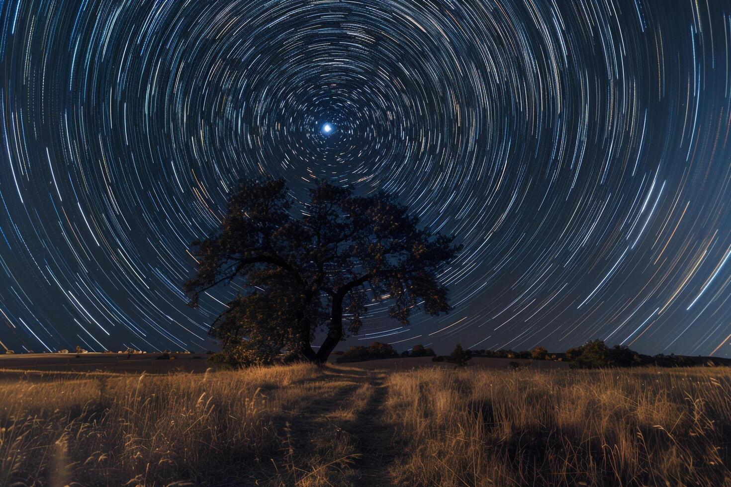 star trails over a field and tree background photo