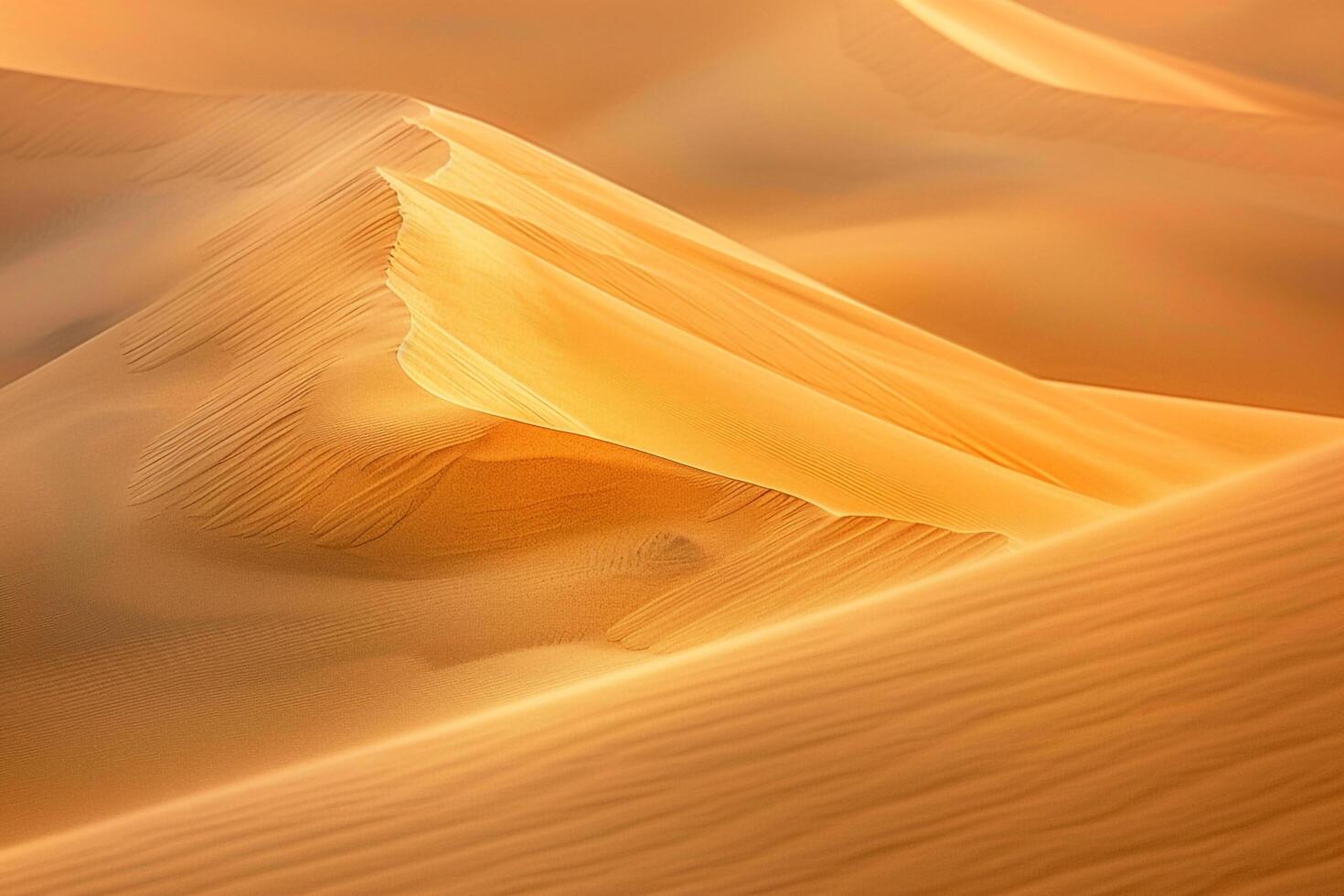 a desert with sand dunes and sand dunes background photo