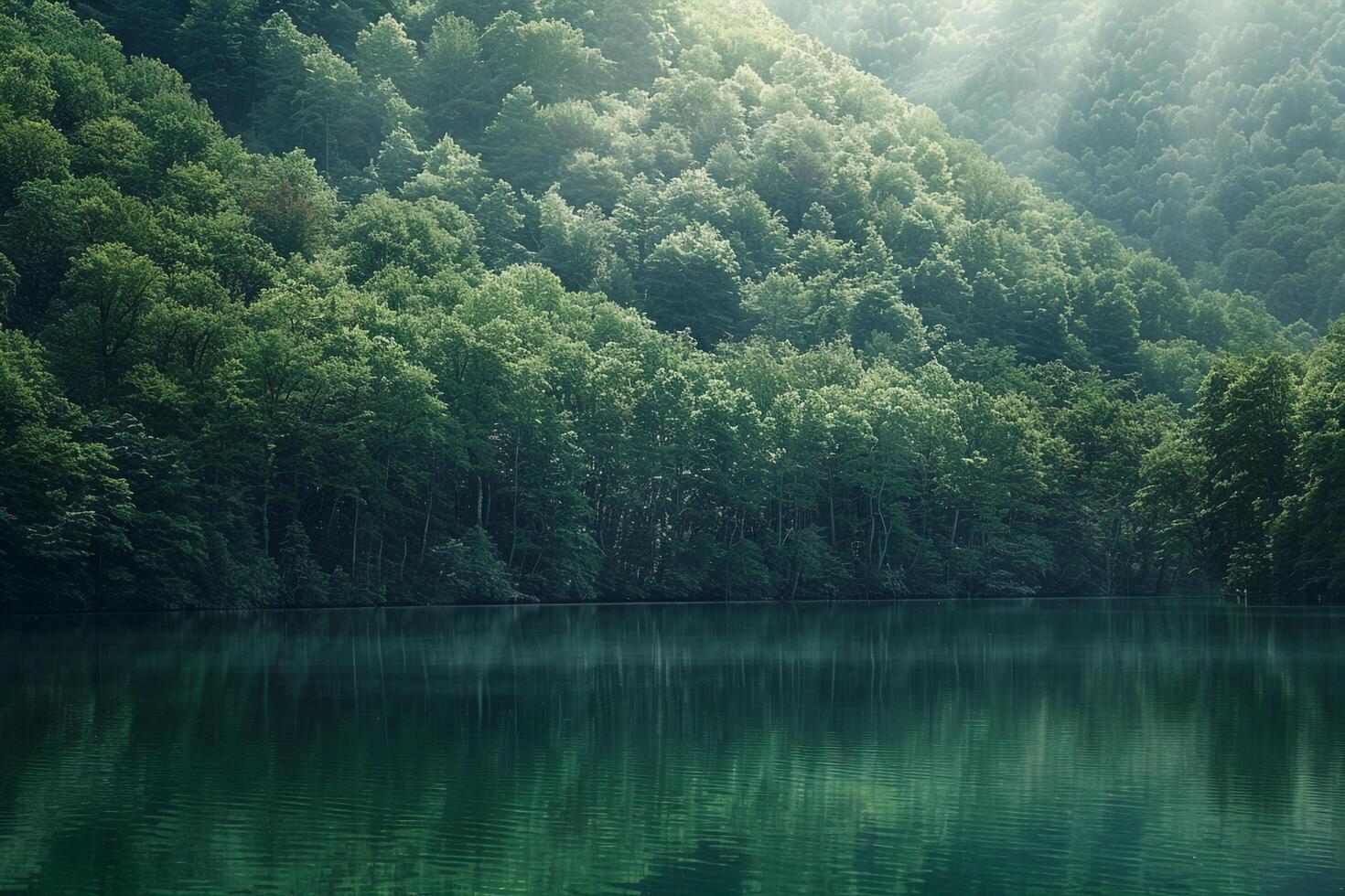 a lake surrounded by green trees and mountains background photo