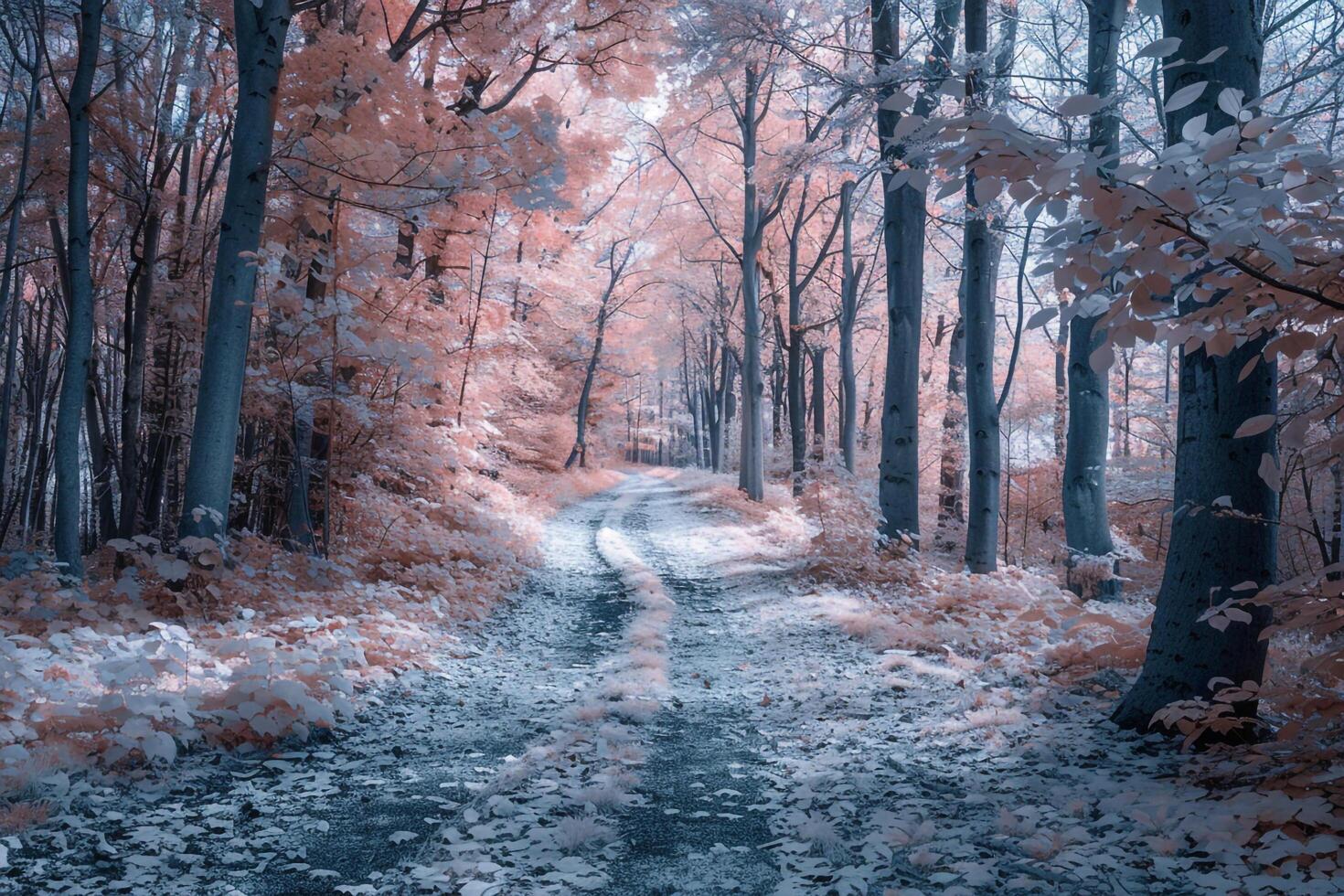 a path through a forest with pink trees background photo