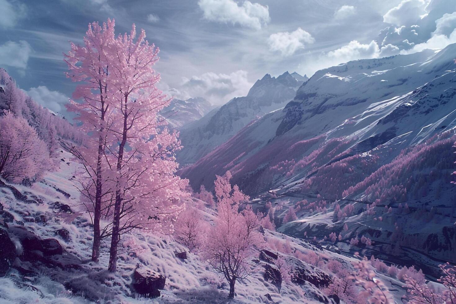 a pink tree stands in front of a snowy mountain background photo