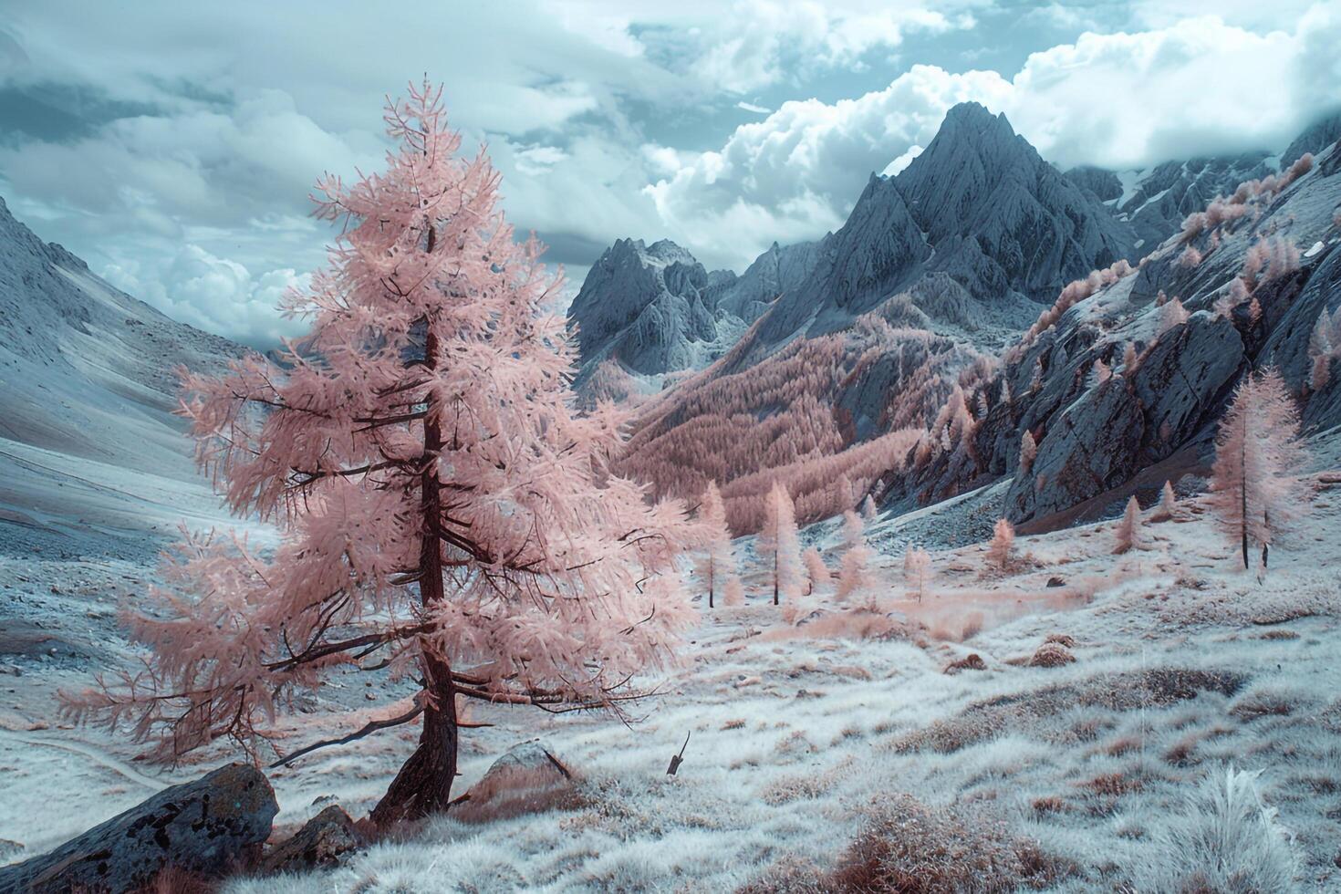 a pink tree in the mountains with snow background photo