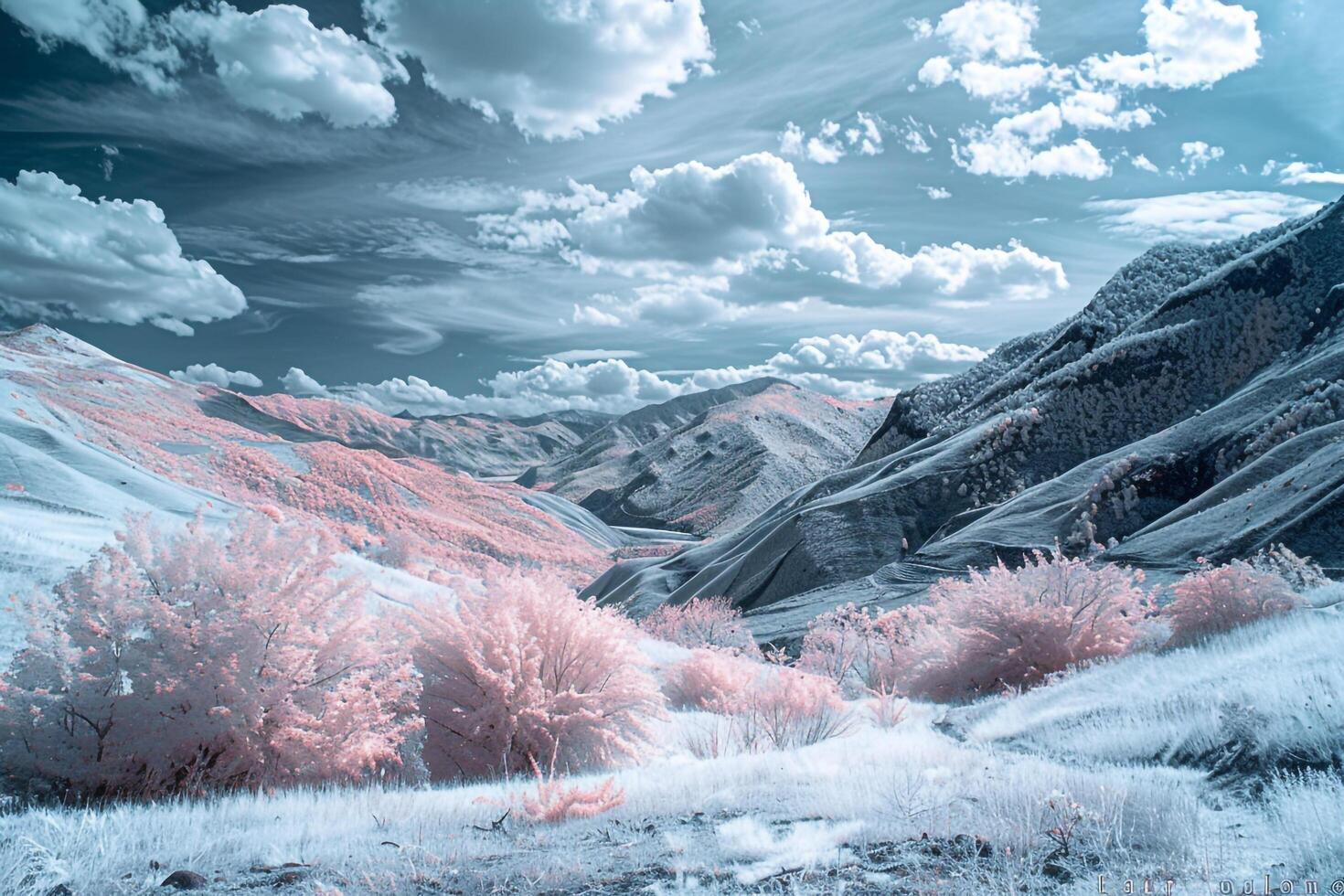 a beautiful landscape with pink trees and clouds background photo