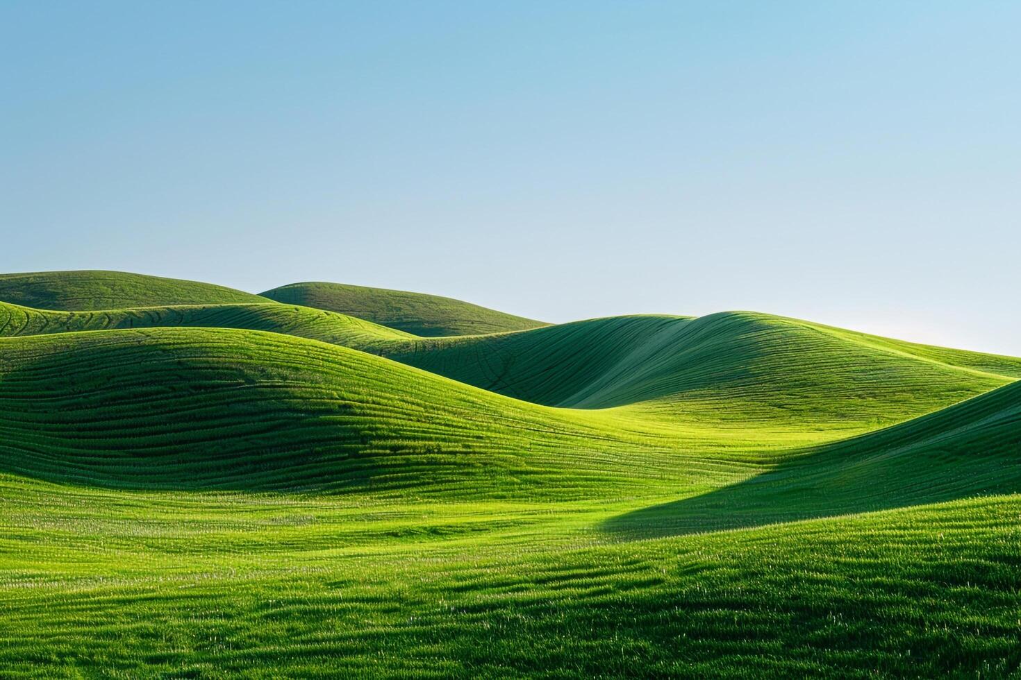 a green field with hills and grass background photo