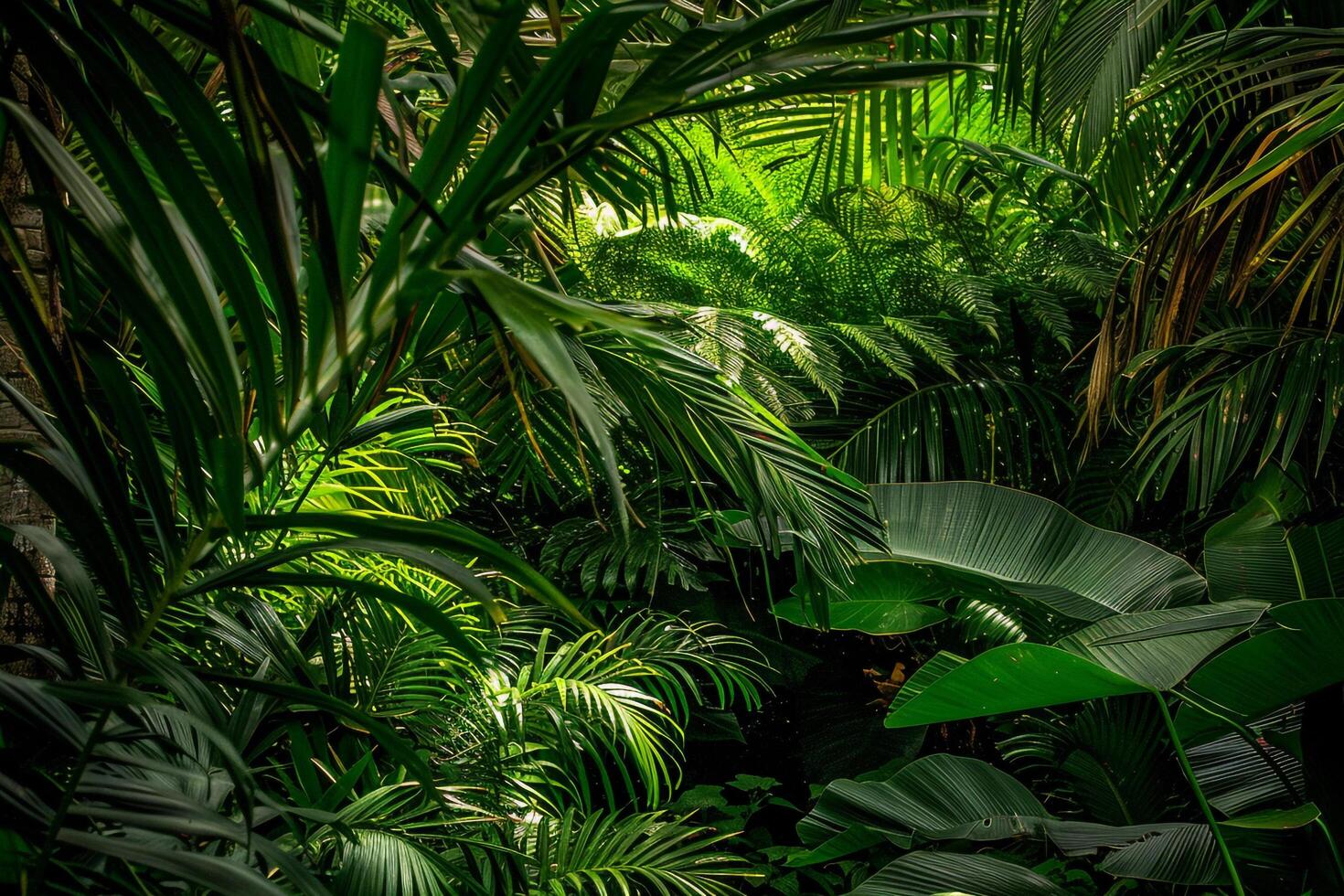 a tropical jungle with lots of green plants background photo