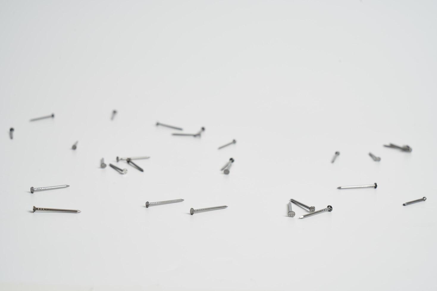 Wood nails on a white background photo