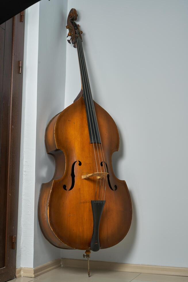 vintage double bass photo