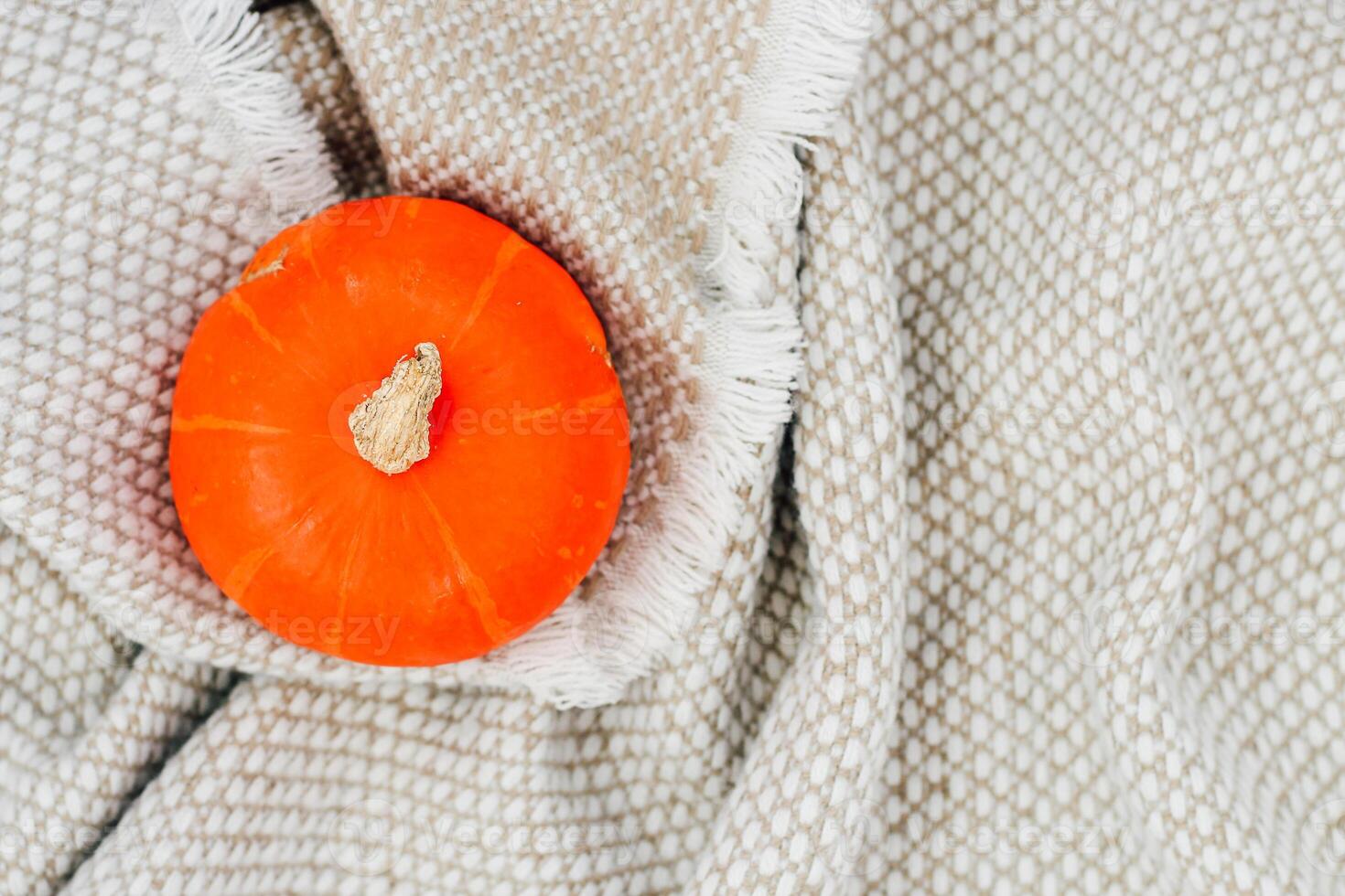 Yellow pumpkin on a gray warm blanket and table, place for text photo