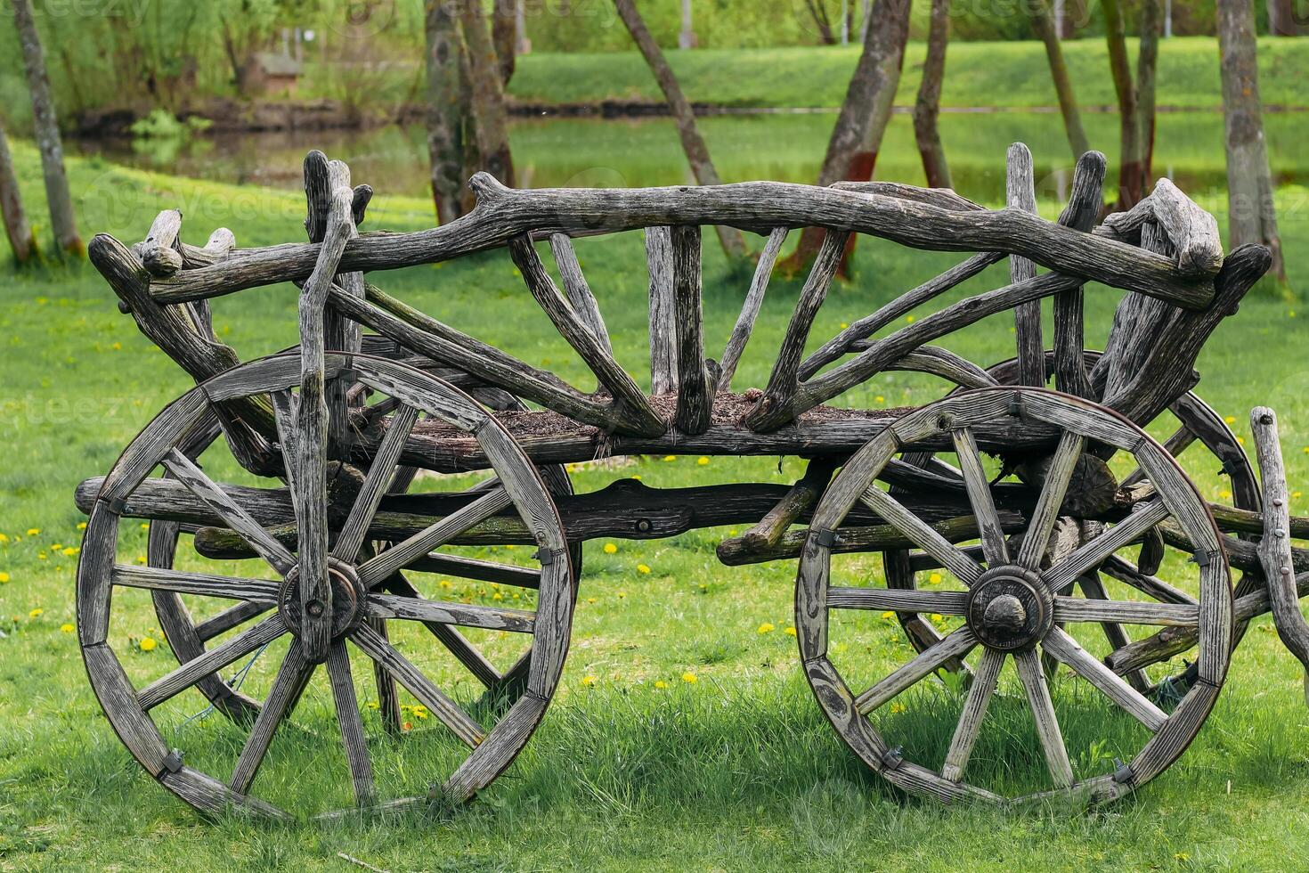 gray Wood Horse Cart on the background of a green garden photo