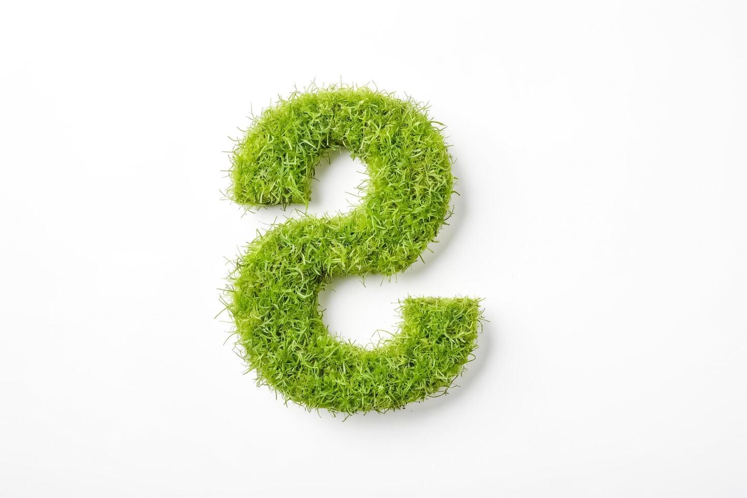 Number Two Made of Grass photo