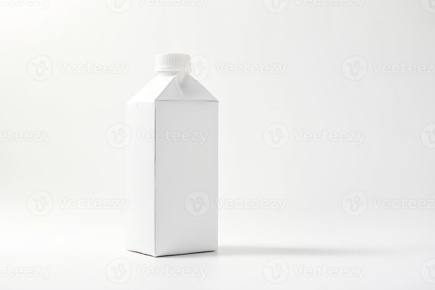 Blank white carton photo