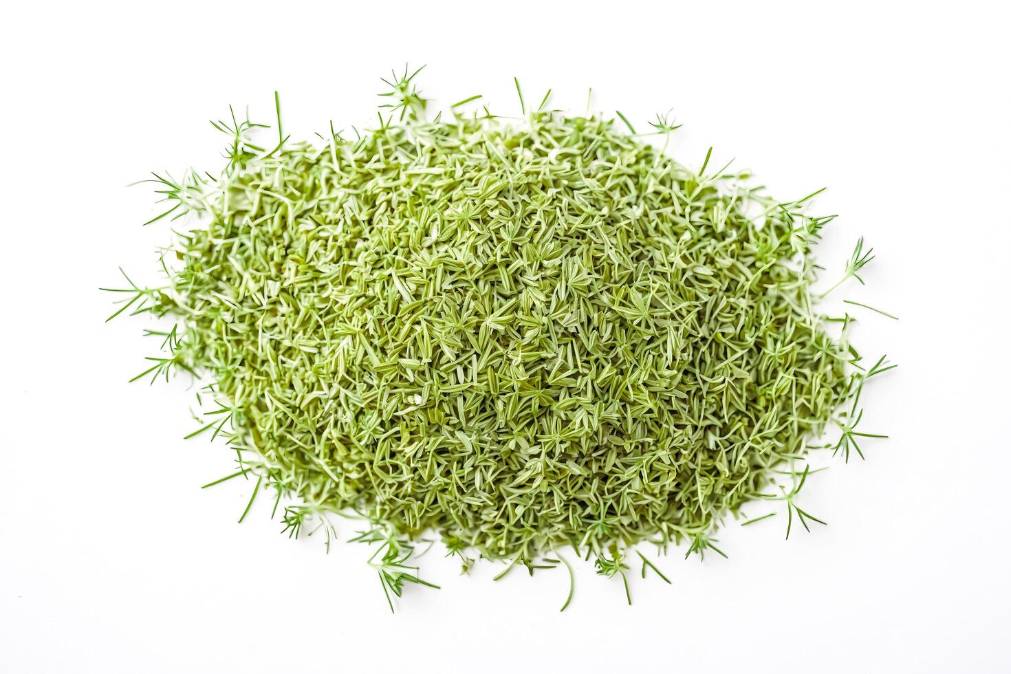 Fresh Green Microgreens on White Background photo