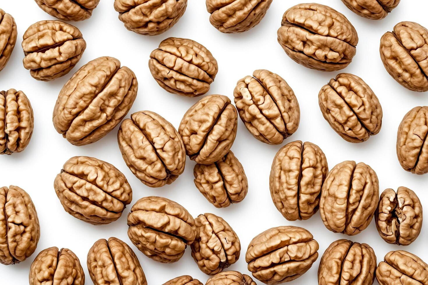 Close up of walnuts on a white background photo