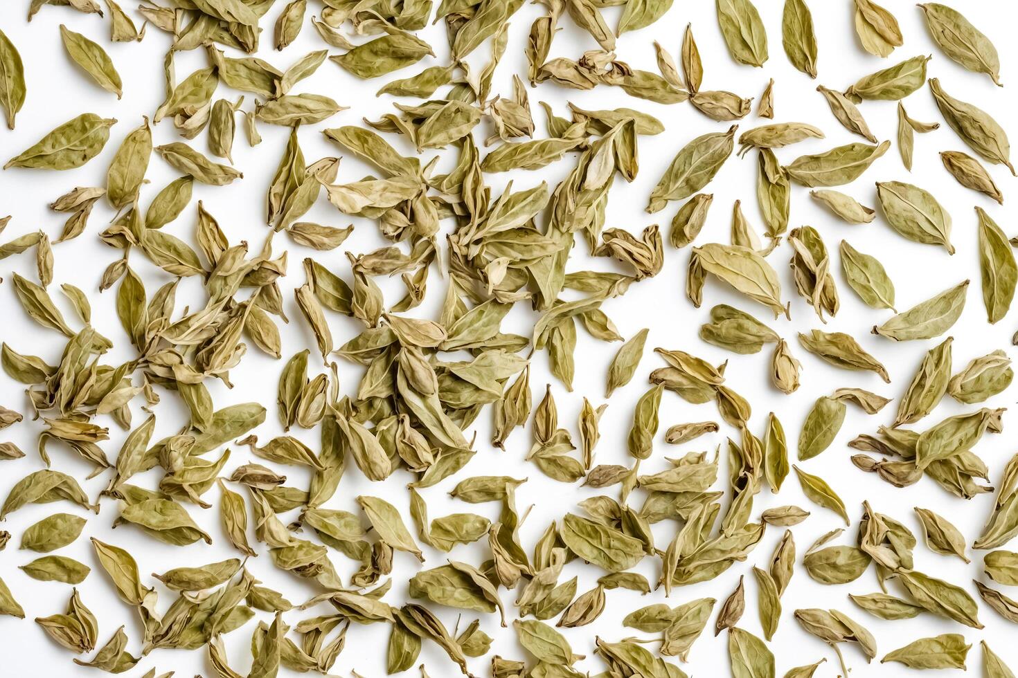 Dried Green Tea Leaves on White Background photo