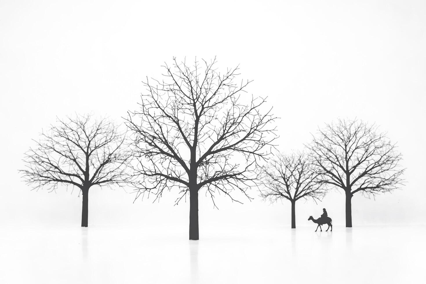 Silhouette of a Man Riding a Camel Through a Desert Landscape photo
