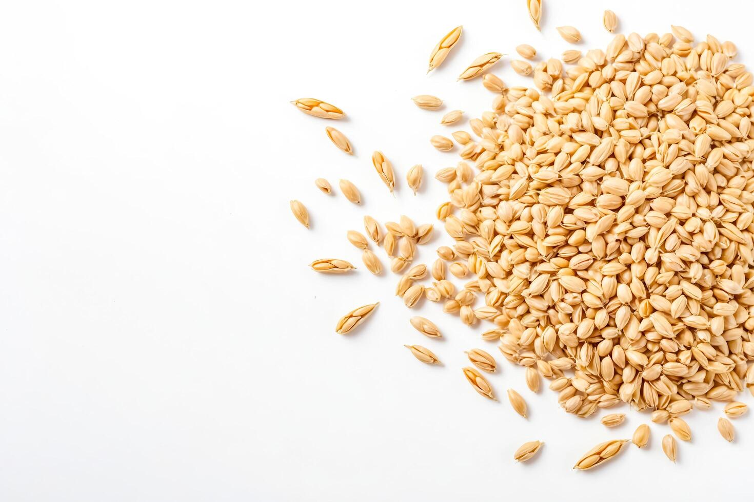 Barley Grains On White Background photo