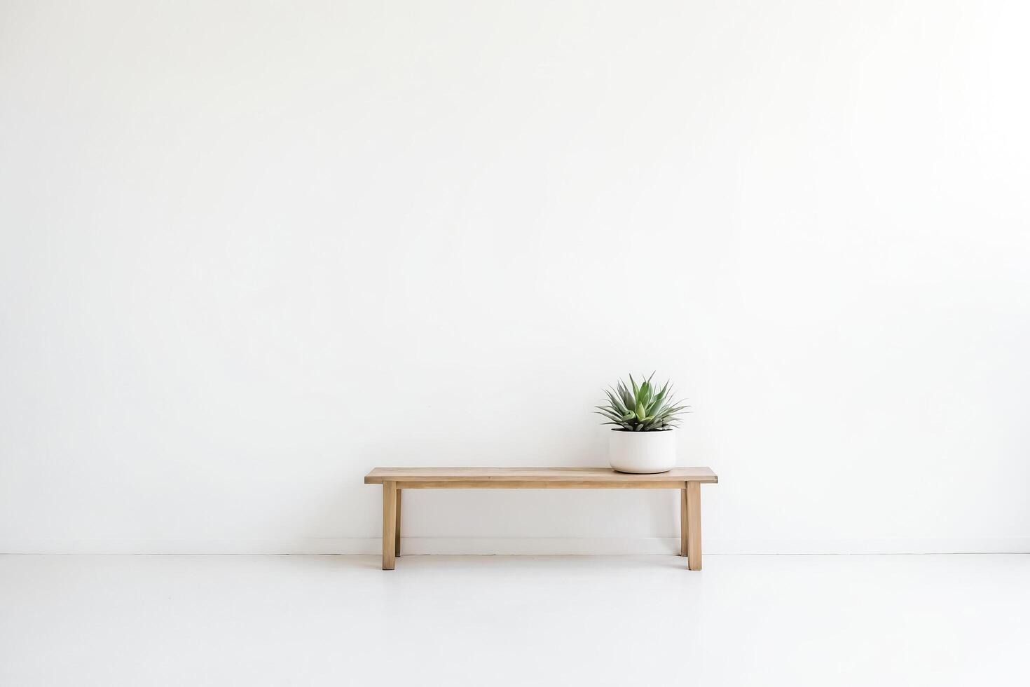 Minimalist wooden bench with a plant in a white pot against a white wall photo