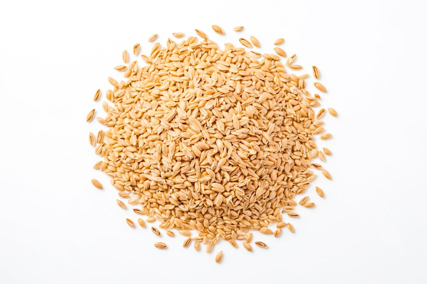 Wheat Grains on White Background photo