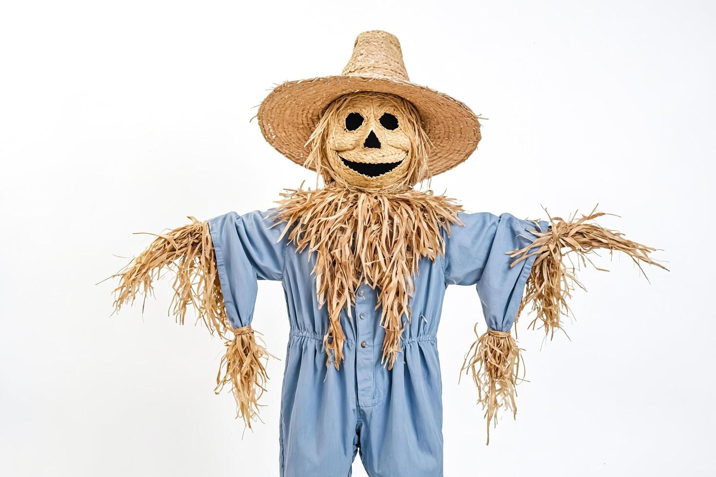 Scarecrow with a Straw Hat photo