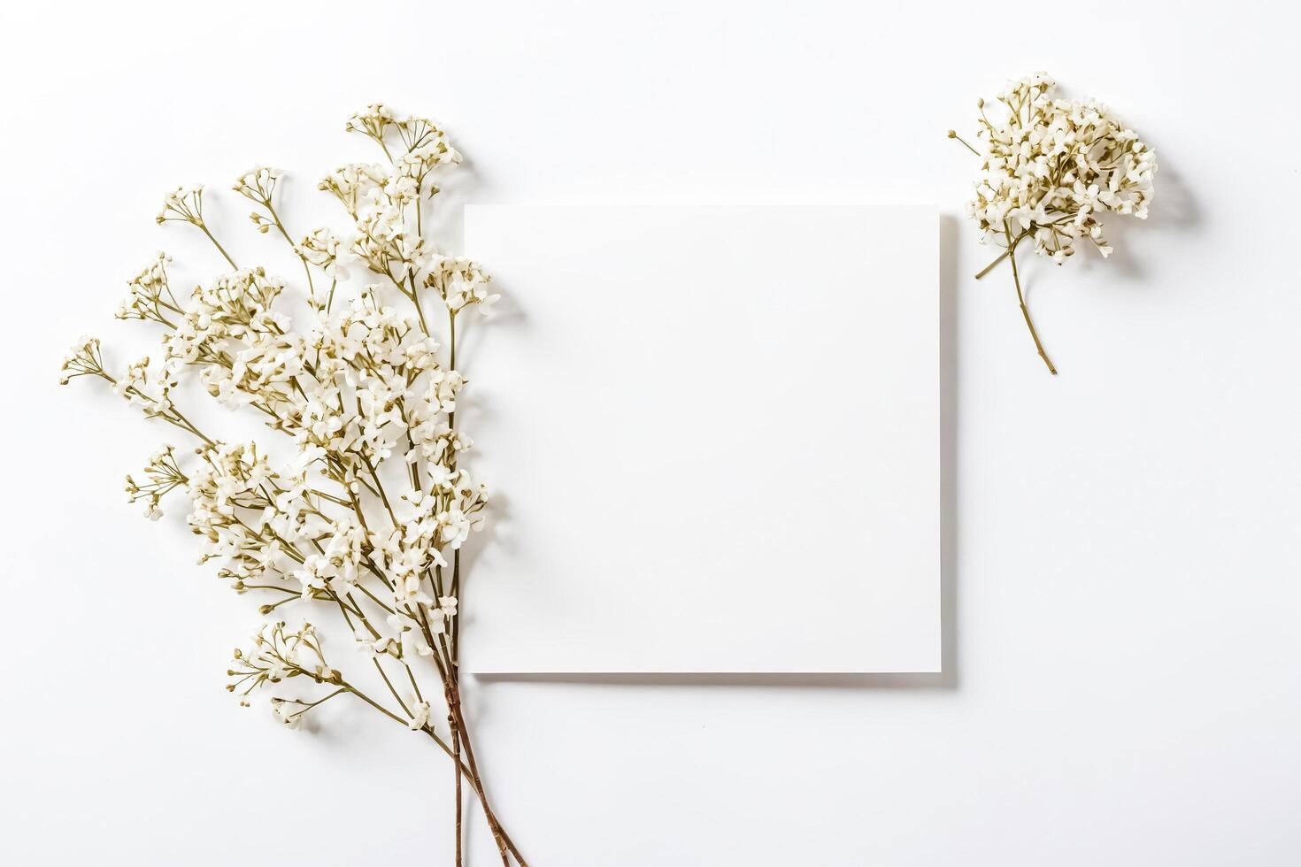Blank White Card with Delicate White Flowers on White Background photo