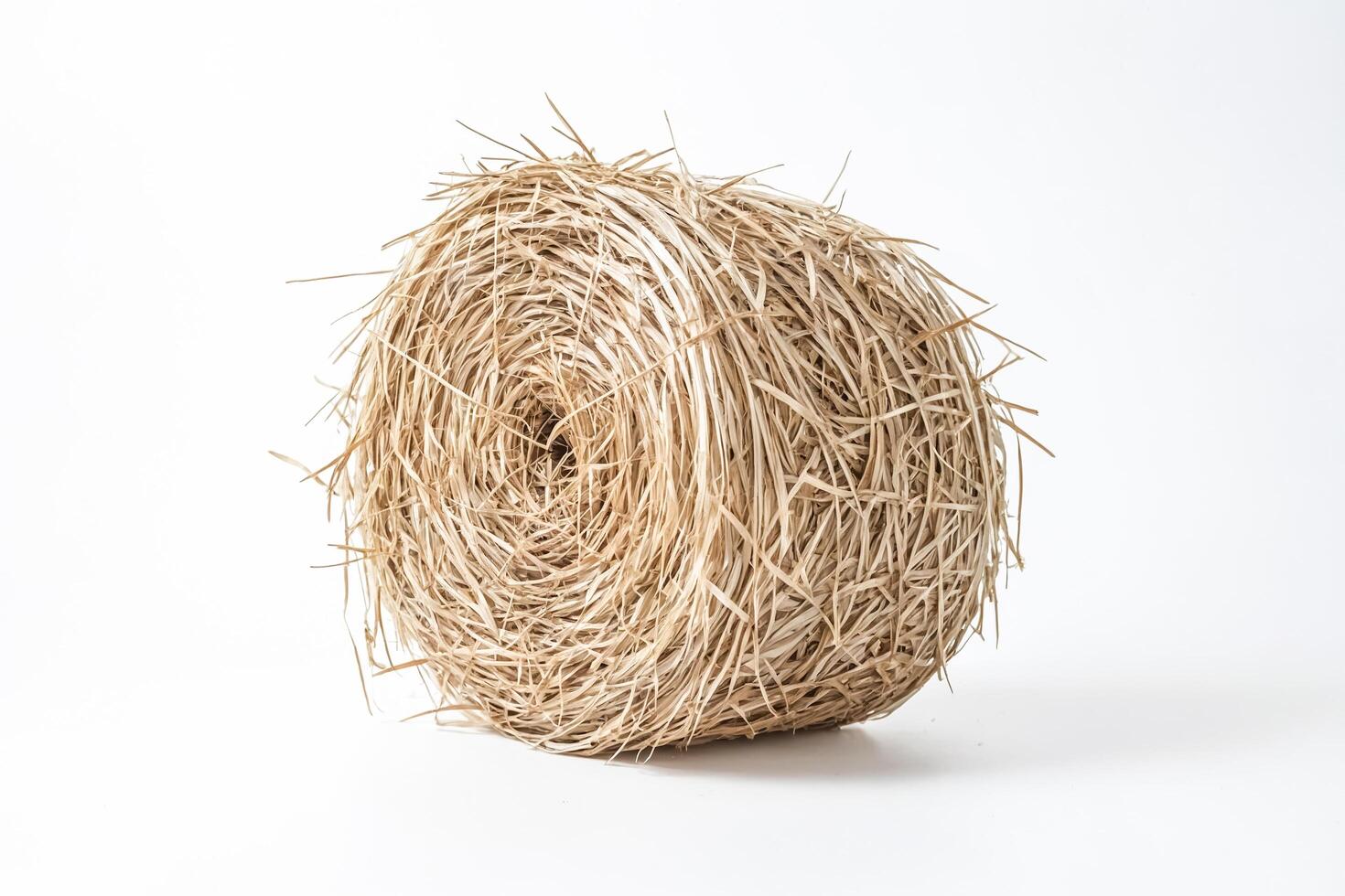 Round Bale of Hay Isolated on White Background photo