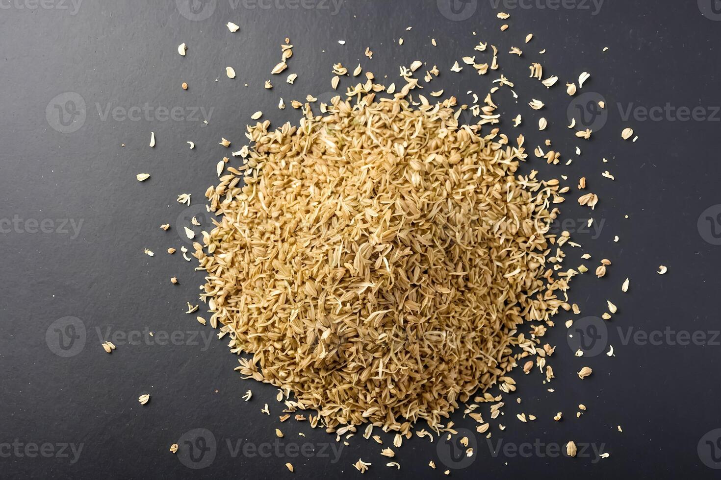 Dried Fennel Seeds on Black Background photo