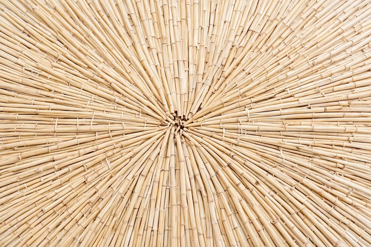 Bamboo Texture Pattern photo