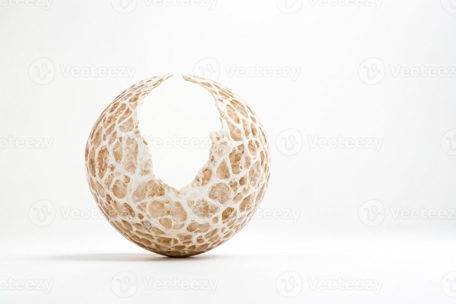 Cracked Egg Shell photo