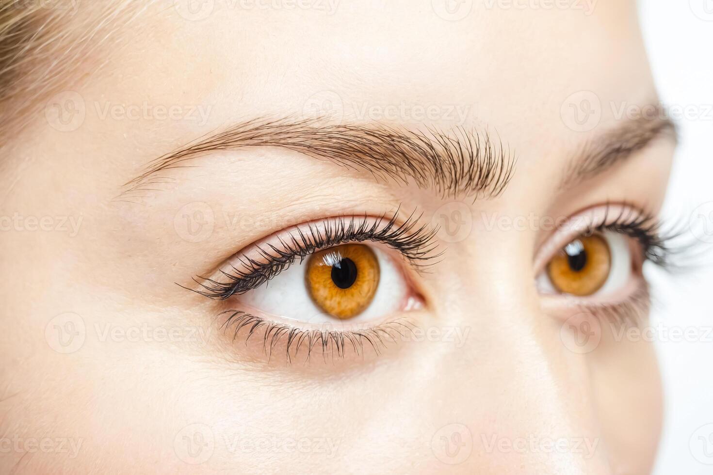 Closeup of a beautiful woman's eye with long eyelashes photo