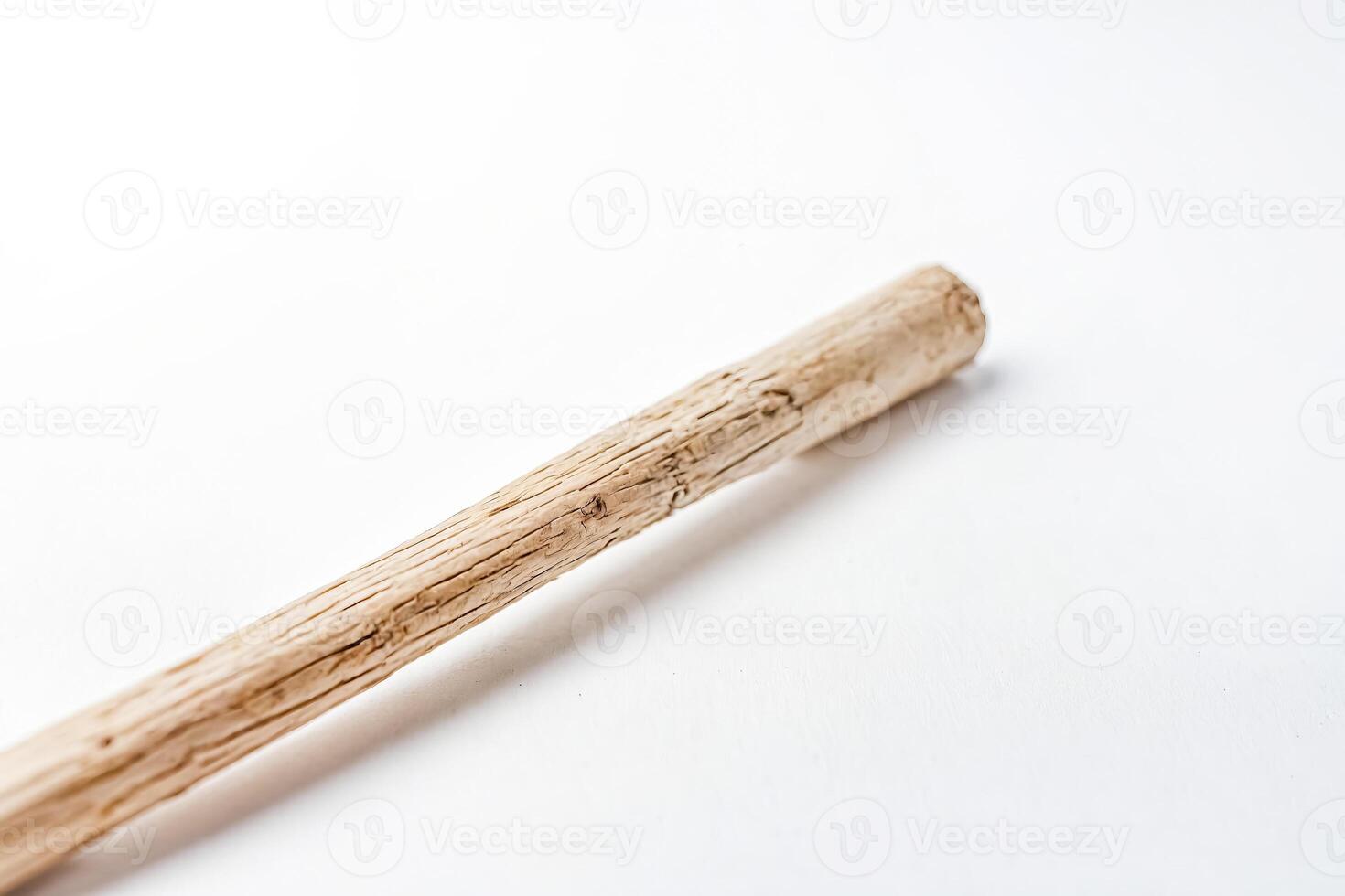 Close-up of a piece of driftwood on a white background photo