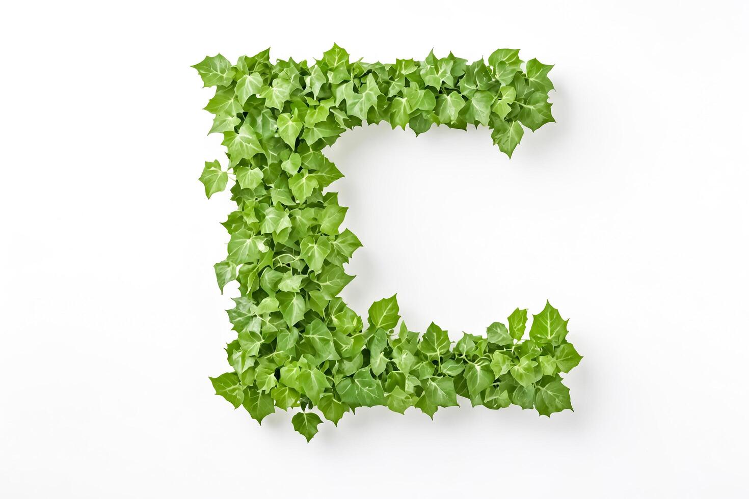 Green Leaves Forming Letter C photo
