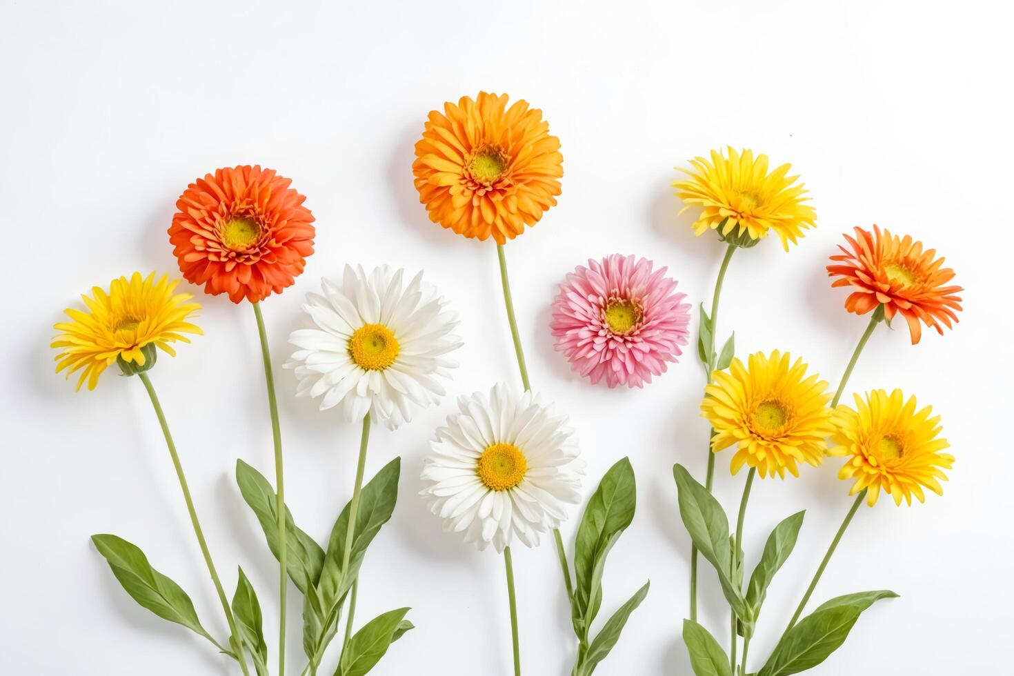 A Vibrant Array of Fresh Spring Flowers photo