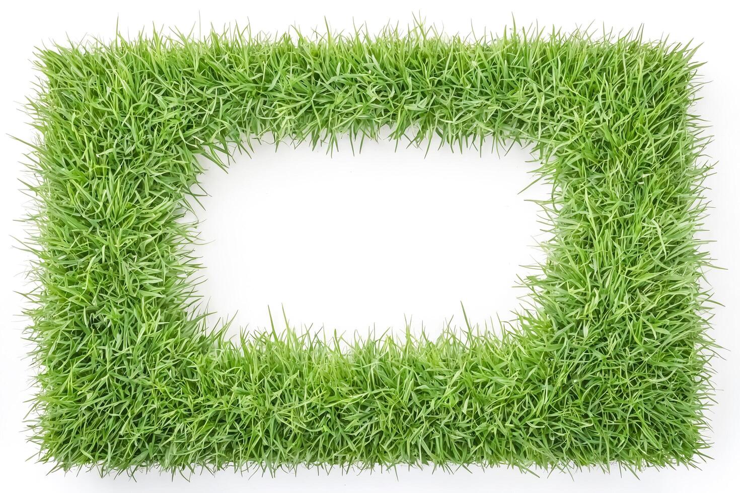 Green Grass Frame on White Background photo