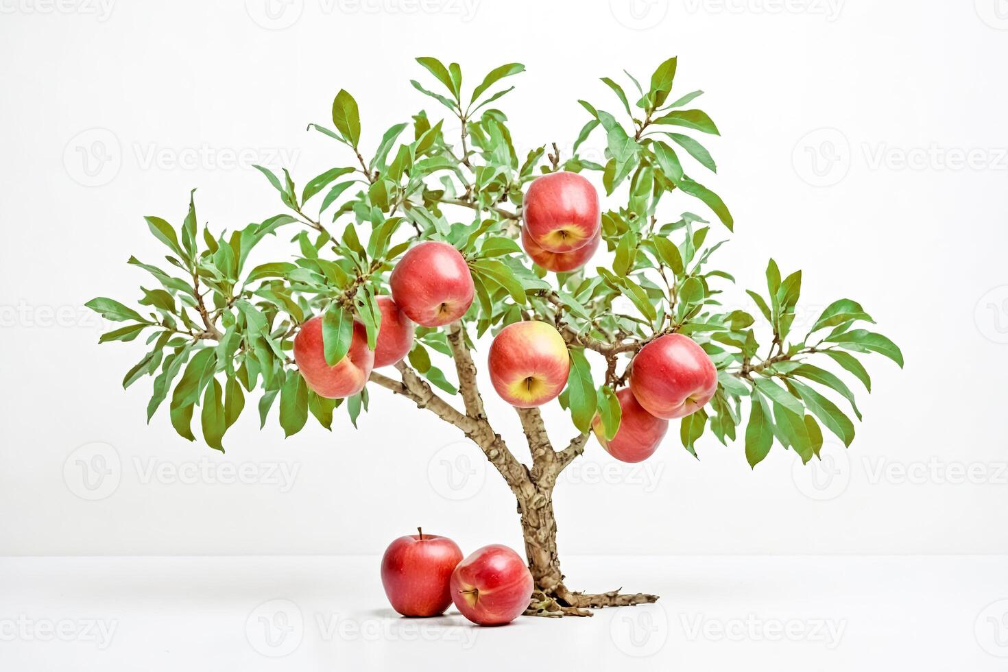 Small Bonsai Tree with Red Apples photo