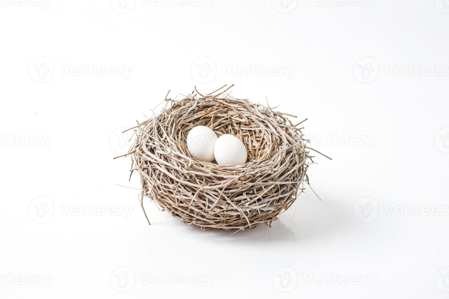 Two White Eggs in a Bird Nest photo