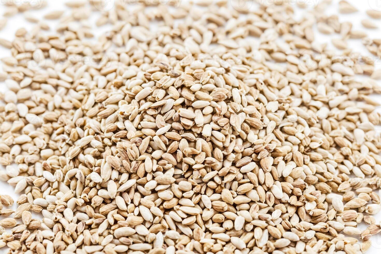 Close Up of a Pile of Dried Seeds photo