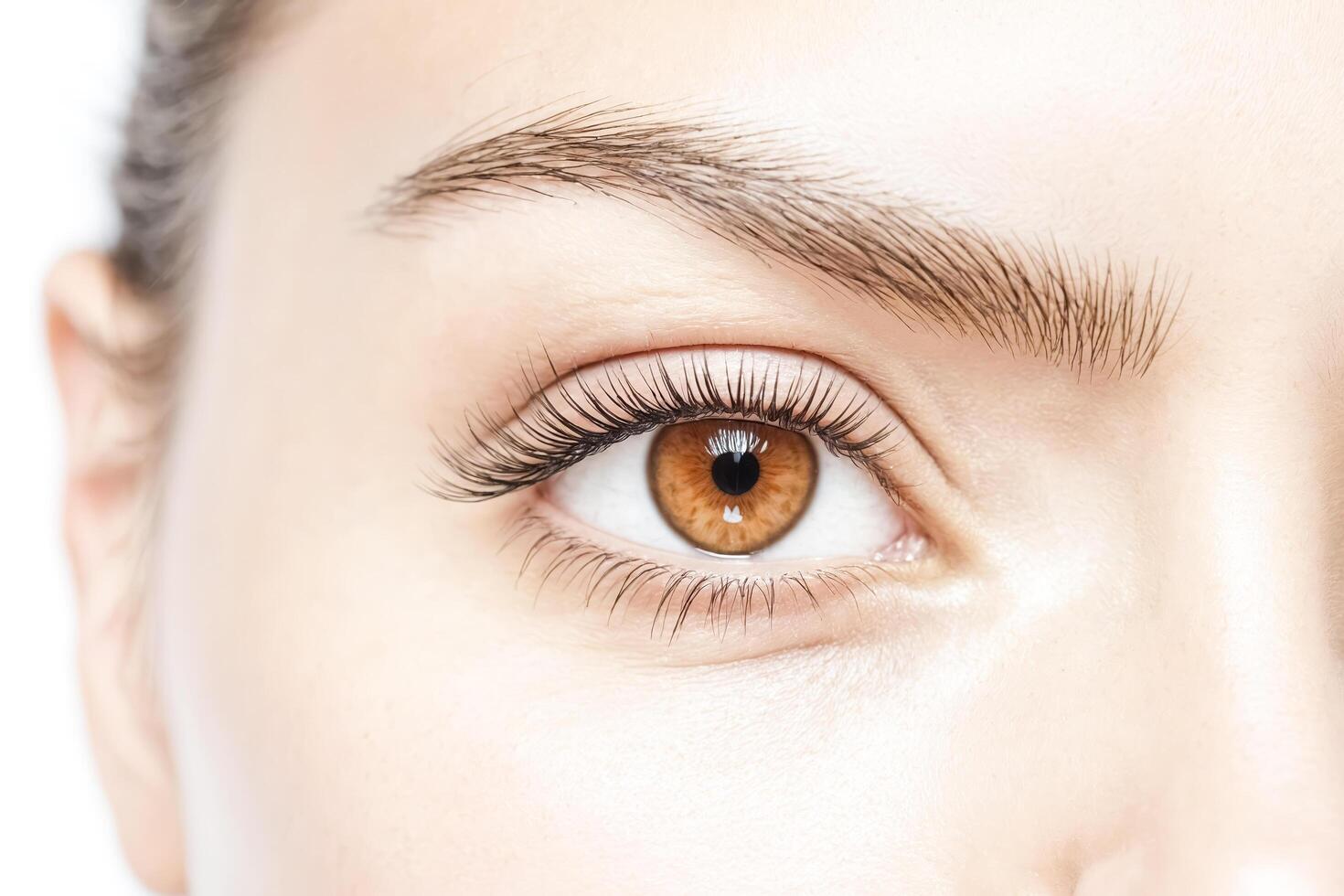 Close-up of a woman's eye with long eyelashes photo