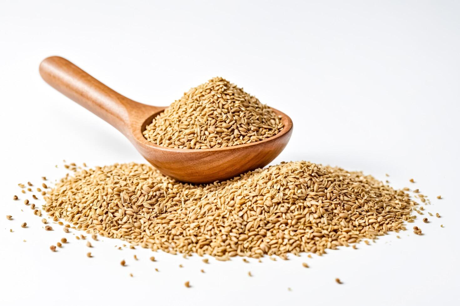 Pile of Coriander Seeds with Wooden Spoon photo
