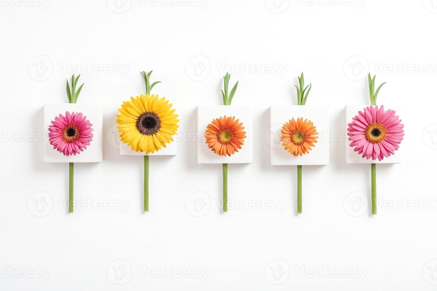 Minimalist Flower Arrangement on White Background photo