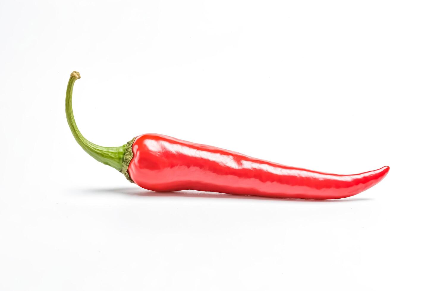 Red Chili Pepper on a White Background photo