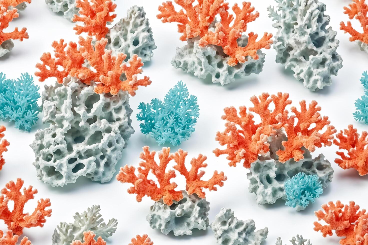 Coral Reefs on White Background photo