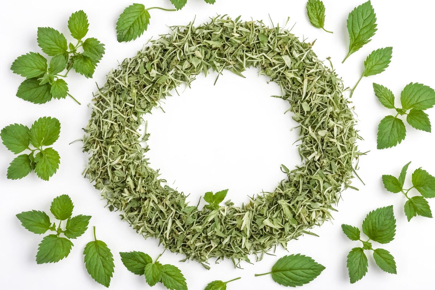 Green herb frame with copy space photo