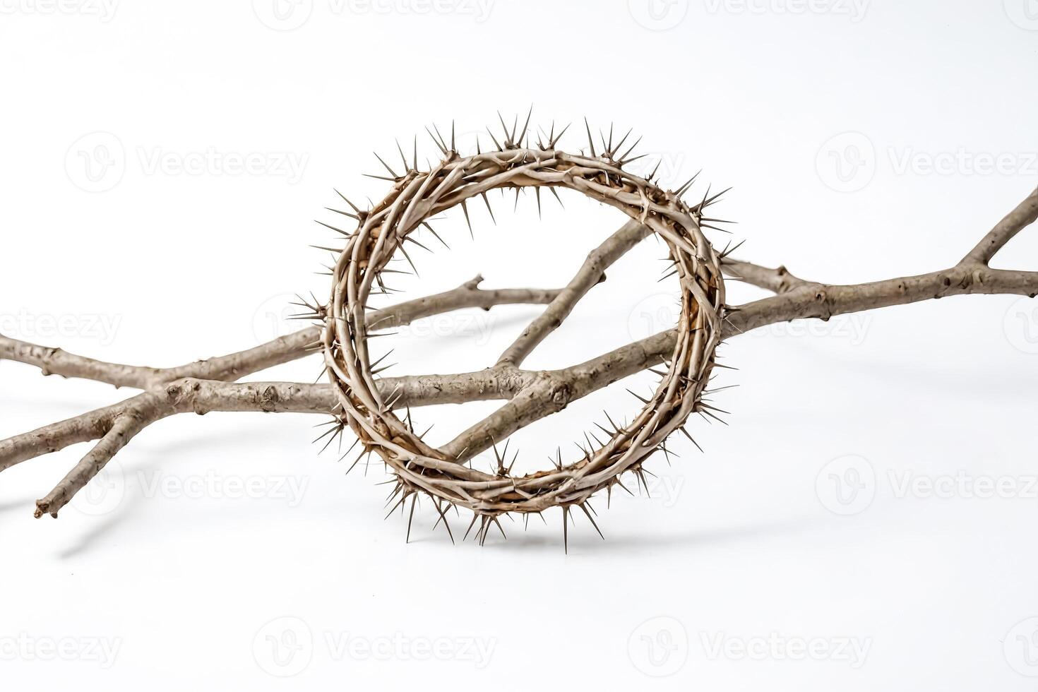 Crown of Thorns with Branch on White Background photo