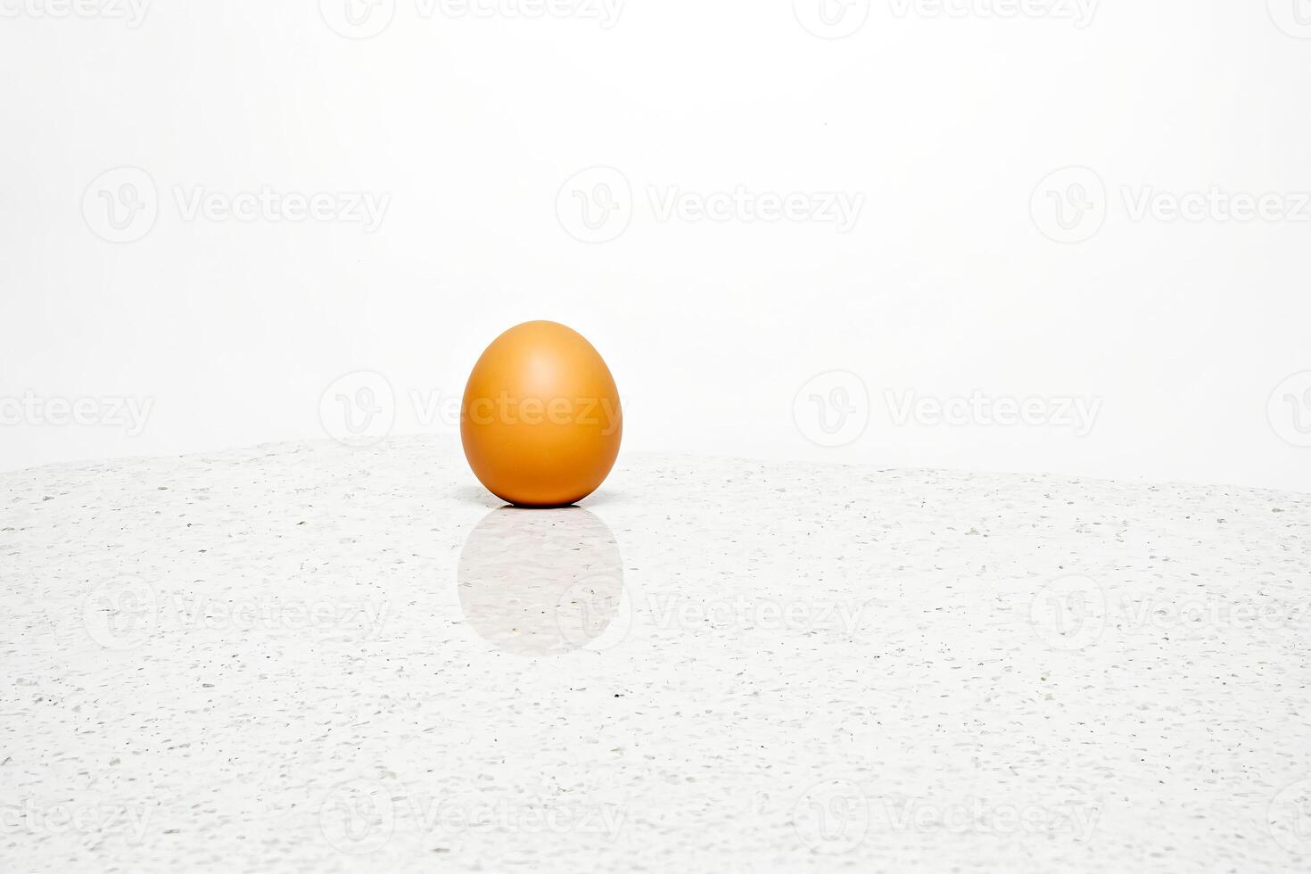 Single Brown Egg on White Background photo