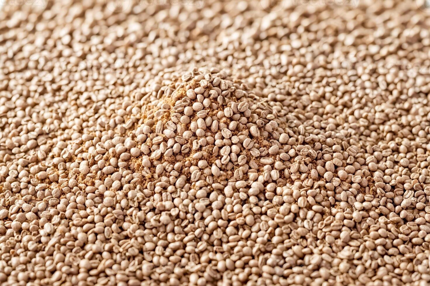 Close-up of a pile of coffee beans photo