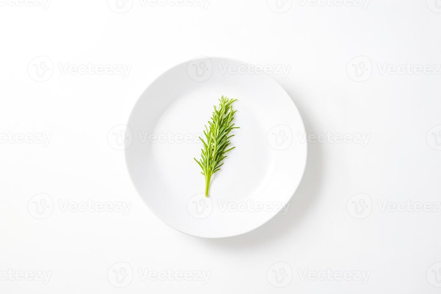 Sprig of rosemary on white plate photo