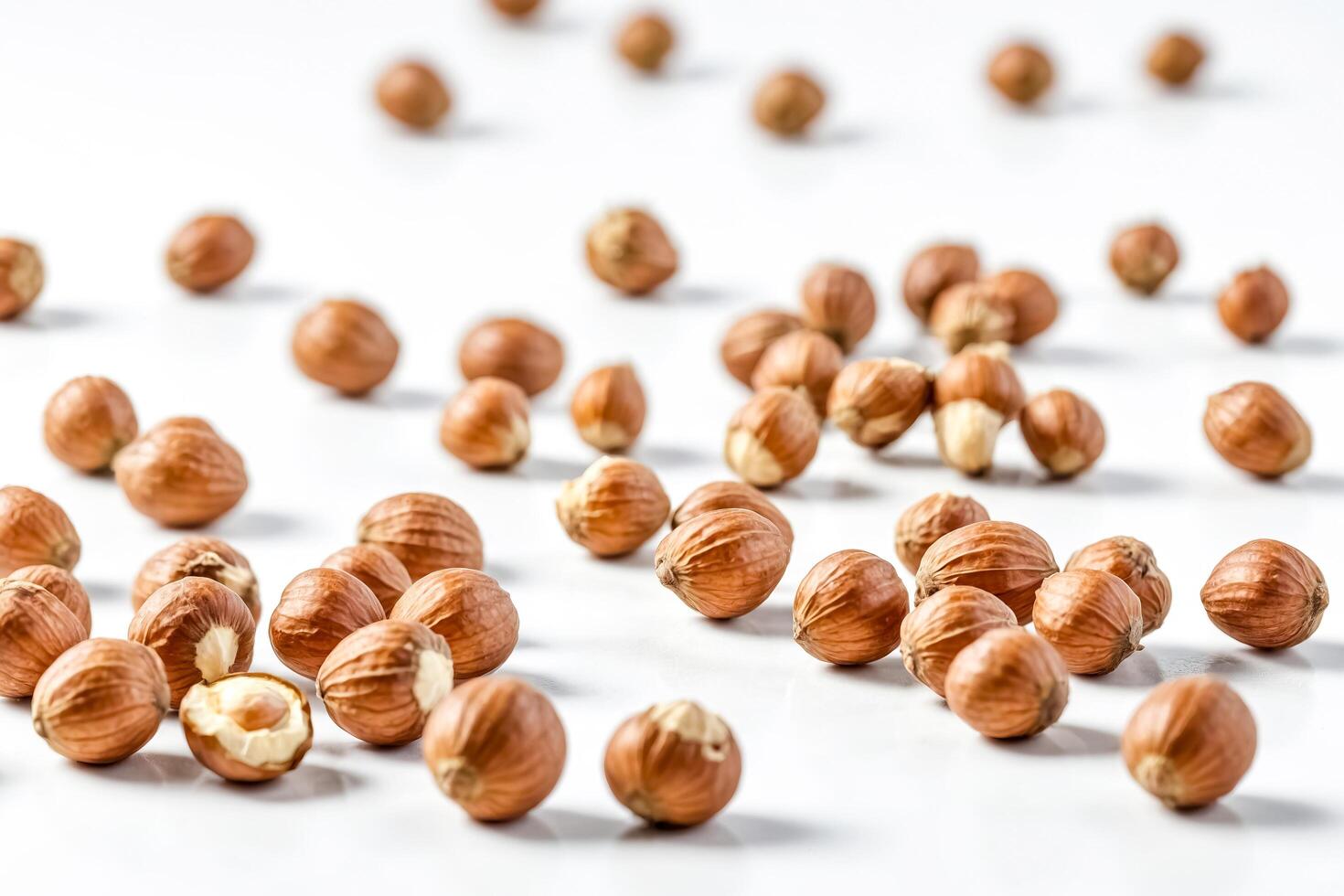 Close-up of Hazelnuts on White Background photo