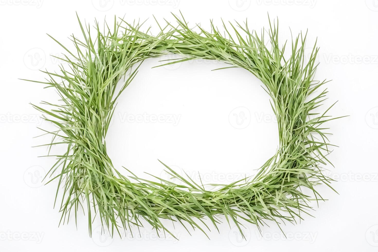 Green grass circle frame isolated on white background photo