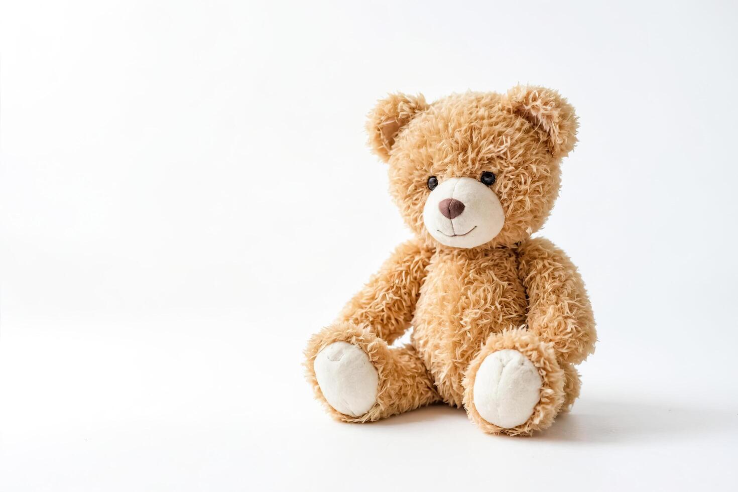 Teddy Bear Sitting on White Background photo