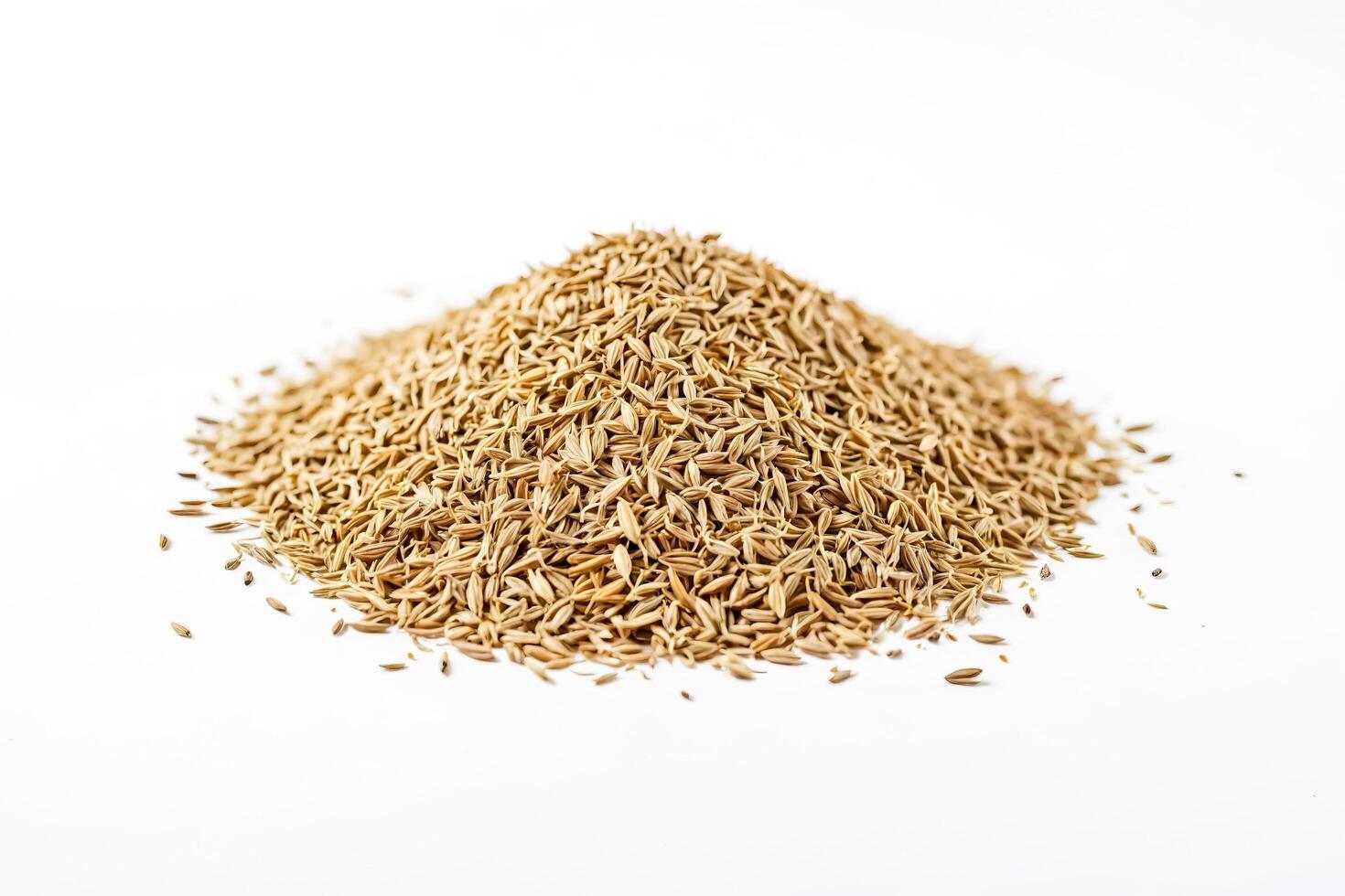 Close up of cumin seeds on white background photo